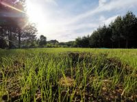 Izletište „Paljevine” – Sarači
