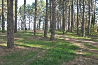 Izletište Pješavica – Petrovice Gornje