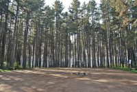 Izletište Pješavica – Petrovice Gornje