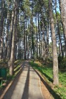 Izletište Pješavica – Petrovice Gornje