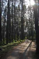 Izletište Pješavica – Petrovice Gornje