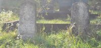 Nekropola stećaka „Brkića groblje”, Dubnica