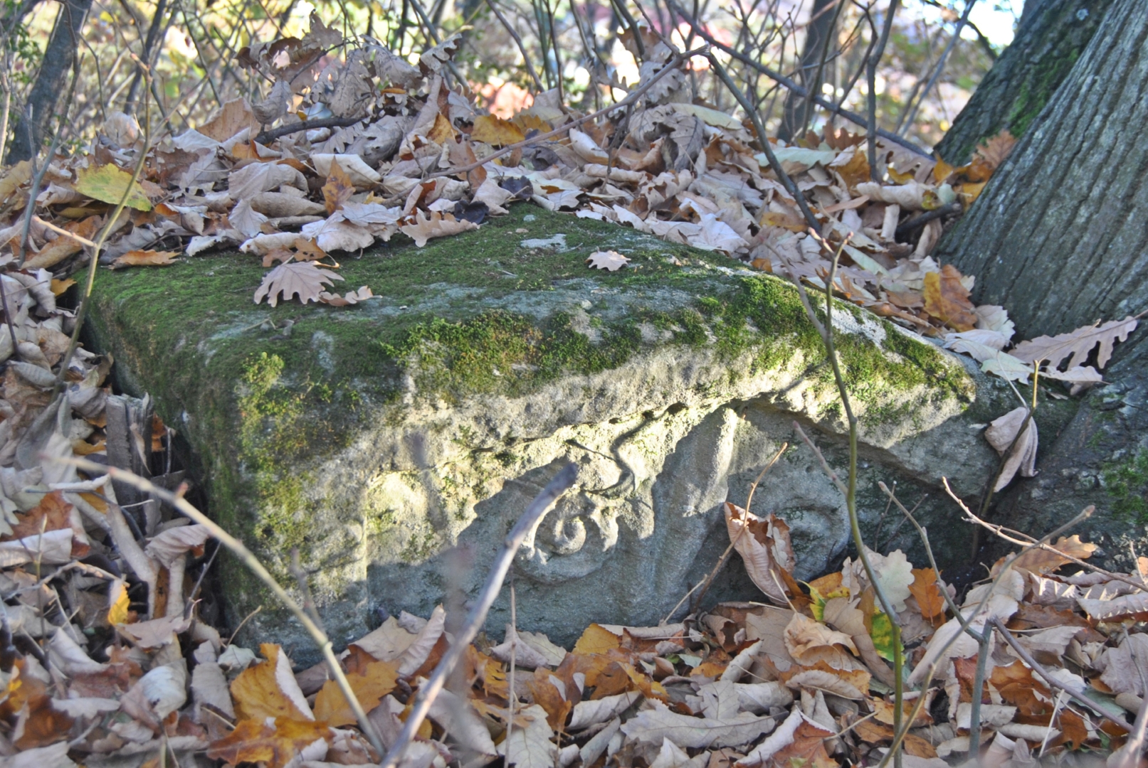 Nekropola stećaka „Mađarci”, Seljublje