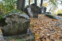 Nekropola stećaka „Mramorje”, Gojčin