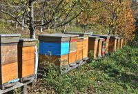 Planinsko-pčelarska kuća Eco Nahl