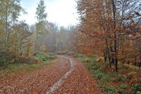 Planinarske staze Palavre – Zolje – Jajići