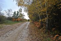 Planinarske staze Palavre – Zolje – Jajići